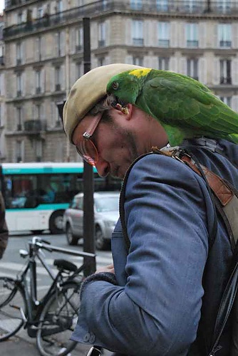 Galerie TXT - Gretchen