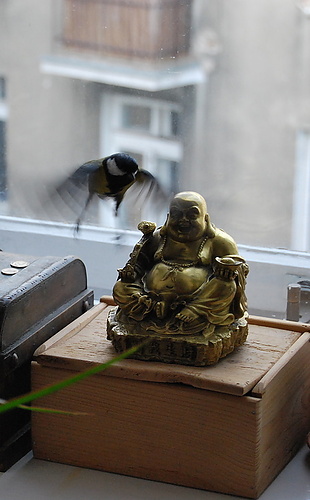 Galerie TXT - Gretchen