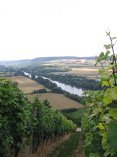 Galerie TXT - Grześ