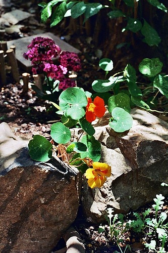 Galerie TXT - Borsuk