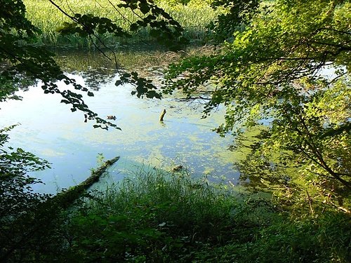 Galerie TXT - Mireks