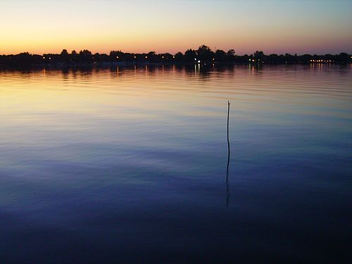 Galerie TXT - Borsuk